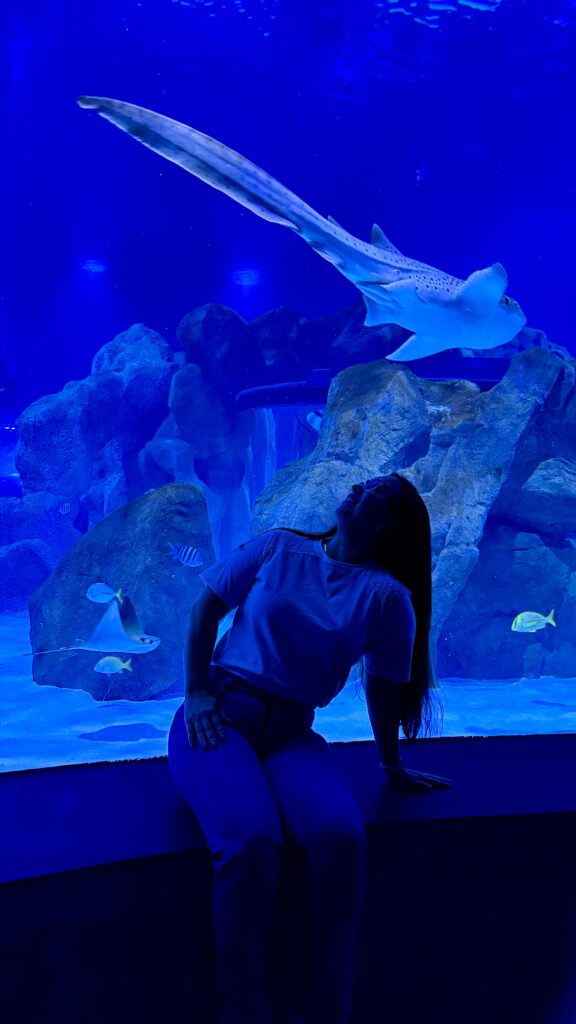 Coisas legais para fazer em Foz do Iguaçu além das Cataratas 4 Aquario de foz do iguaçu