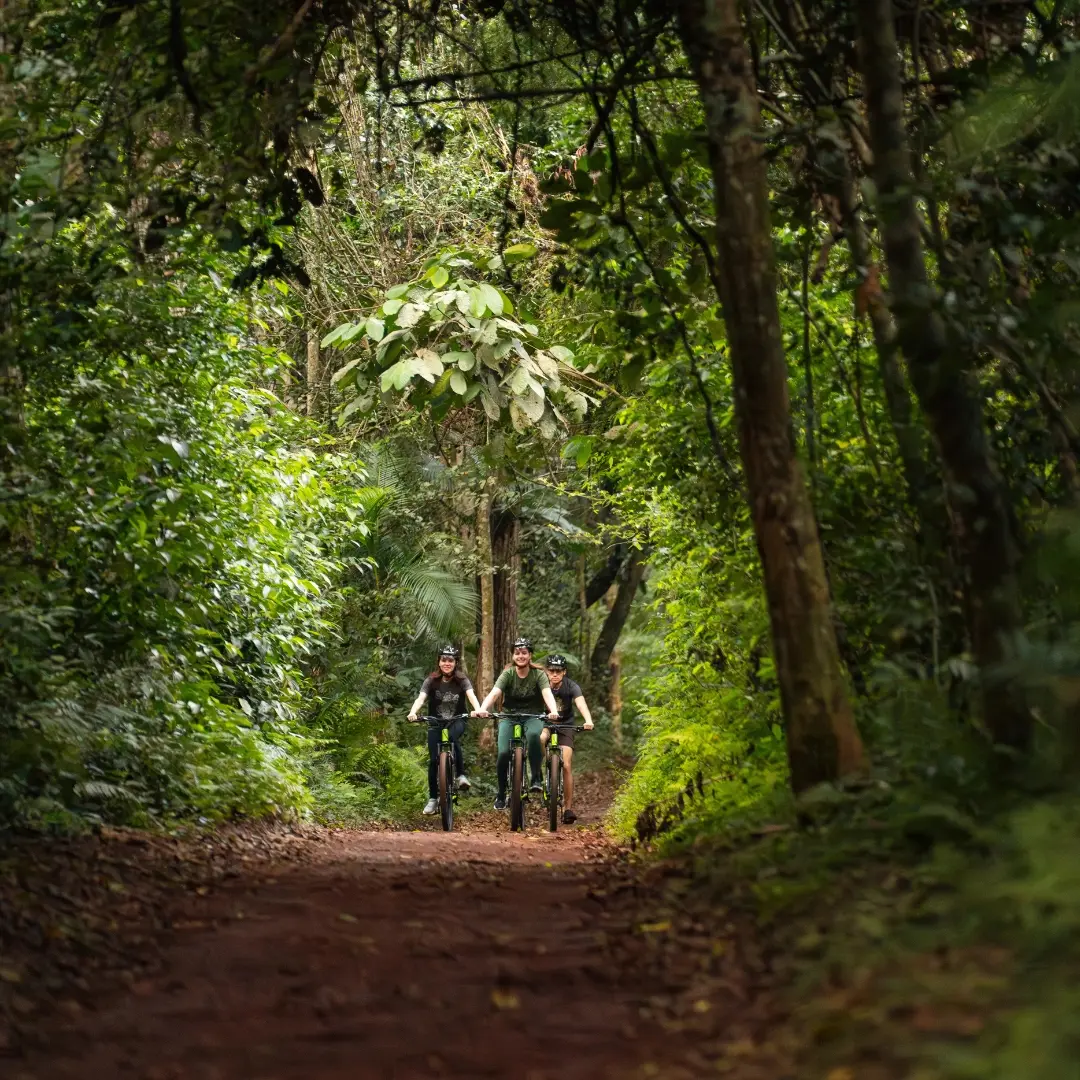 banner beleza das cataratas