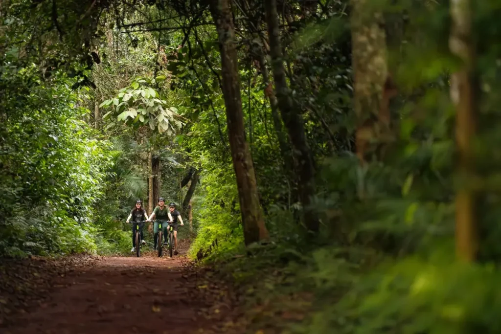politicas de sustentabilidade